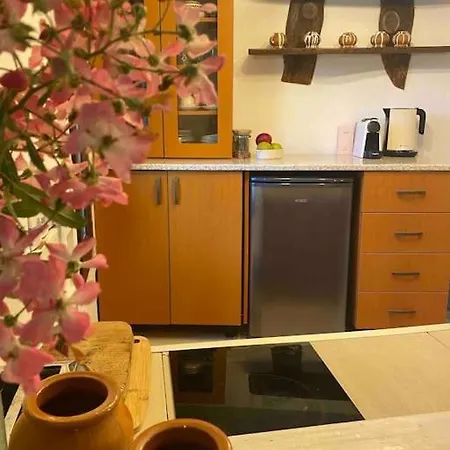 Villa Beautiful In The Rodopi Mountains